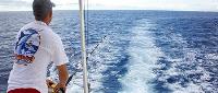Hawai Fishing Charter image 1